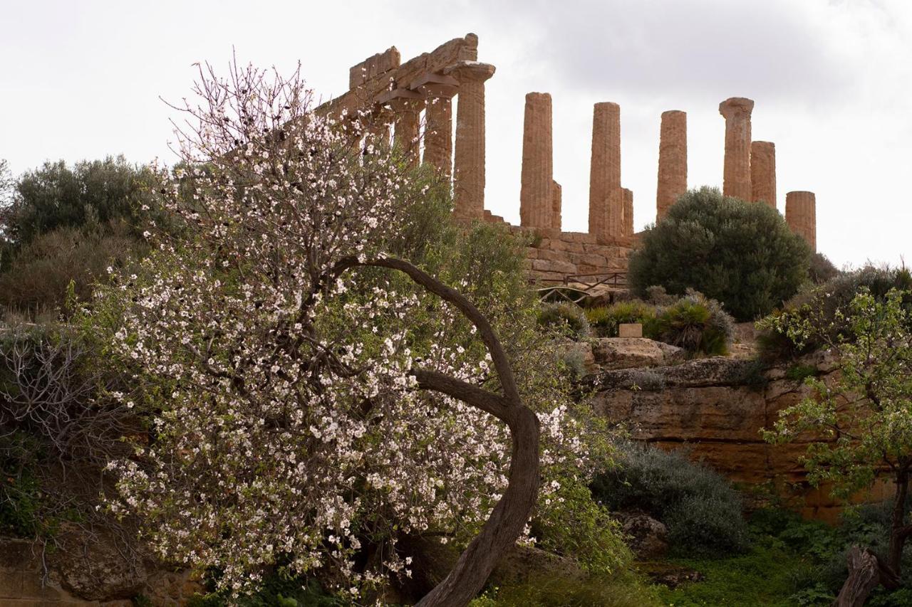 Il Portoncino ^ Apt.^ Agrigento Kültér fotó